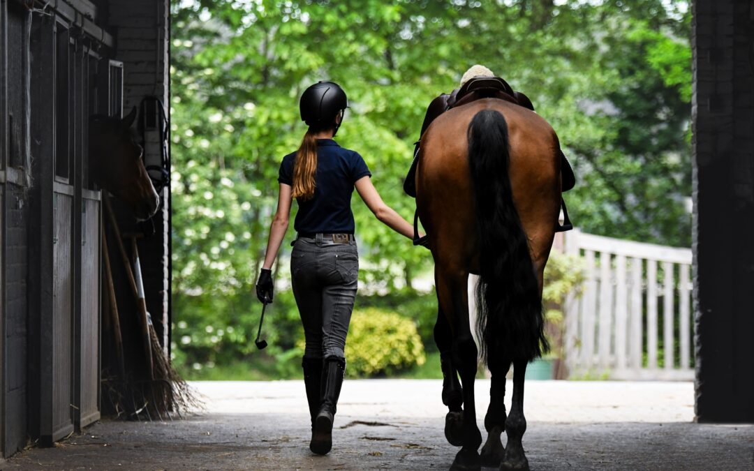 Reit-Tipps für feines Reiten von Indy