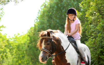 Reit-Tipps für feines Reiten von Indy
