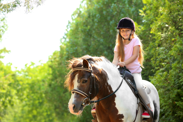 Reit-Tipps für feines Reiten von Indy